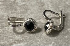Earrings with crystal A56020540220
