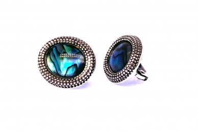 Earrings with mother-of-pearl A7003846879